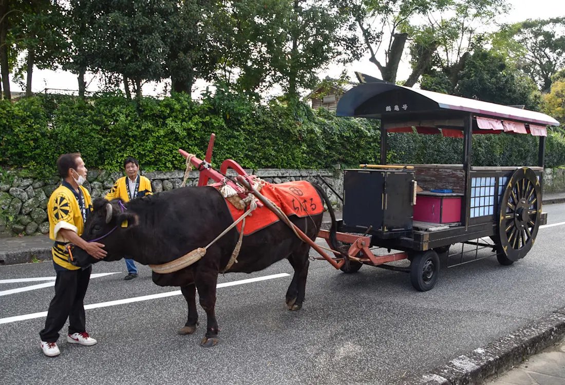 🏯 이즈미 후모토 무가 저택군 (이즈미 후모토 부케야시키군) 이미지 7